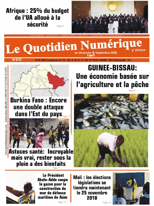 QUOTIDIEN NUMERIQUE D AFRIQUE
 16/09/2018