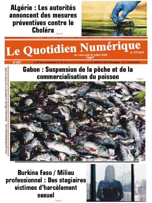 QUOTIDIEN NUMERIQUE D AFRIQUE
 31/07/2019